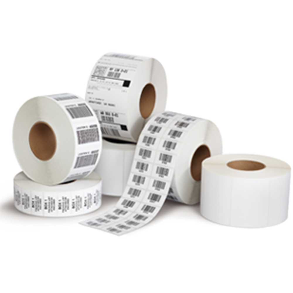 PLAIN DIECUT ROLLS